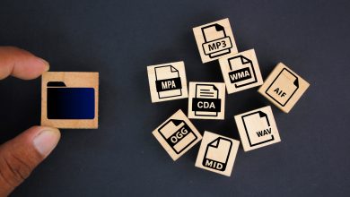 folder with icons Format audio files by file extension.