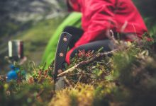 Survival Camping in the Wild