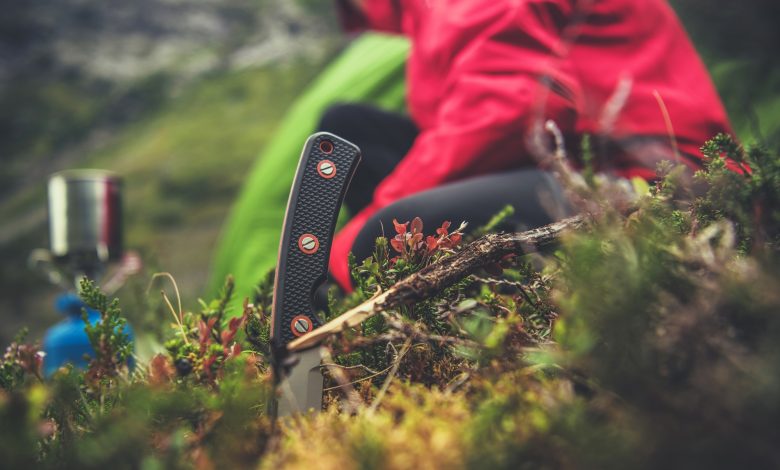 Survival Camping in the Wild