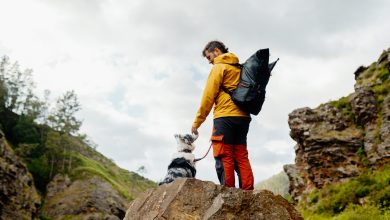 hiking with a pet