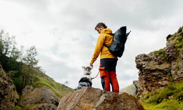 hiking with a pet